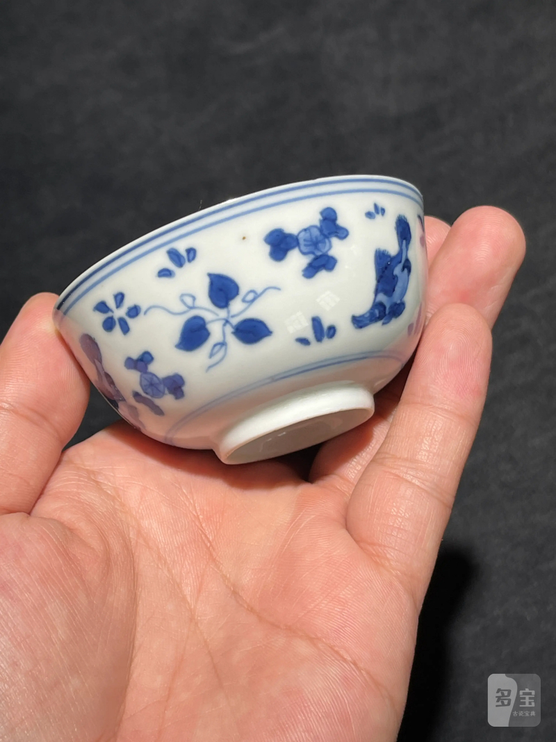 清康熙 青花鱼藻纹小杯一组五件 - 图27